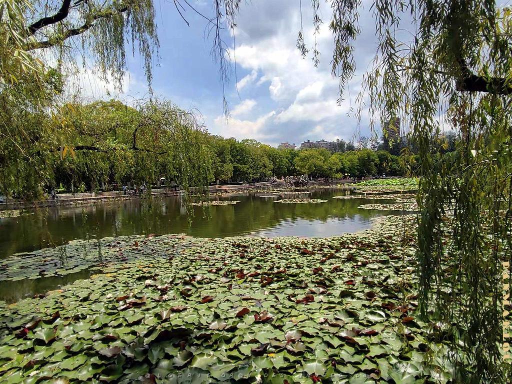 Kunming - Parc Cuihu - 55.jpg